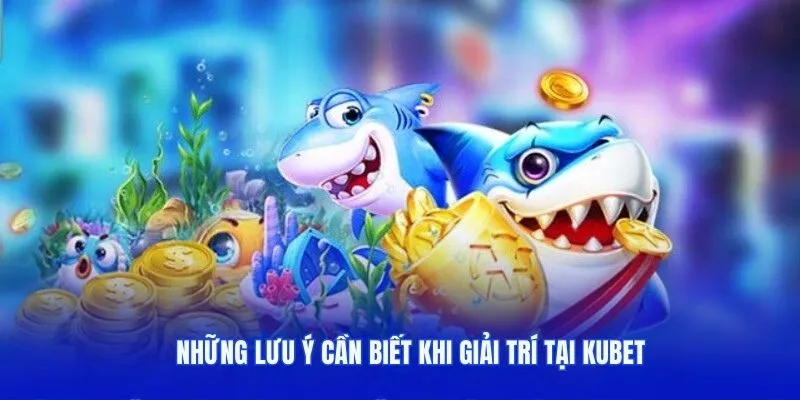 Những lưu ý cần biết khi giải trí tại kubet