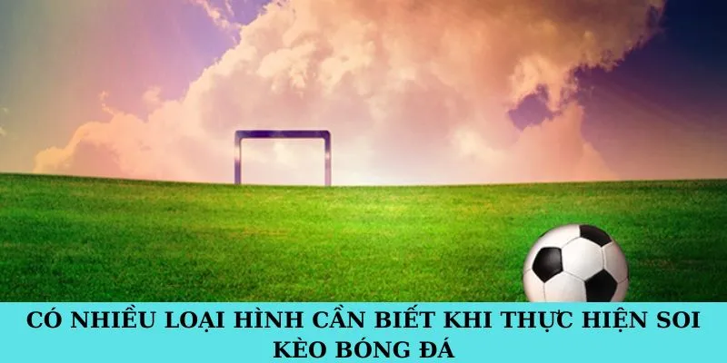 Có nhiều loại hình cần biết khi thực hiện soi kèo bóng đá