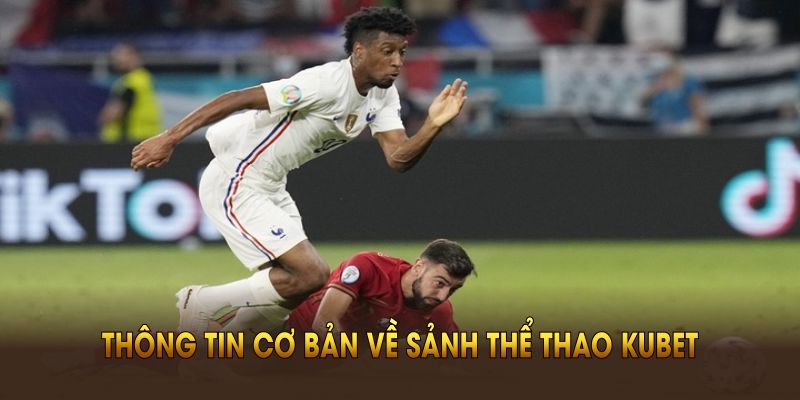 Tổng hợp thông tin cơ bản về sảnh thể thao kubet